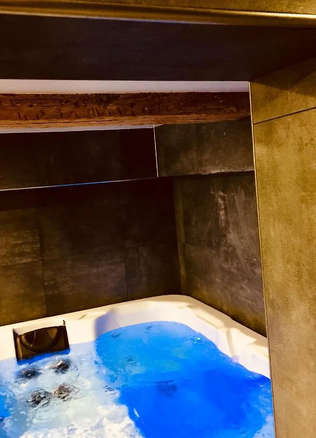 Appartement Les Suites du Cours&Spa Aix-en-Provence France